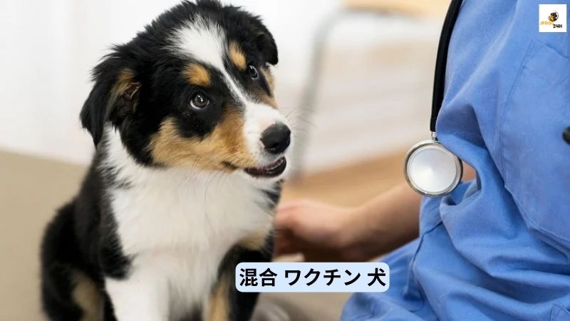 混合 ワクチン 犬