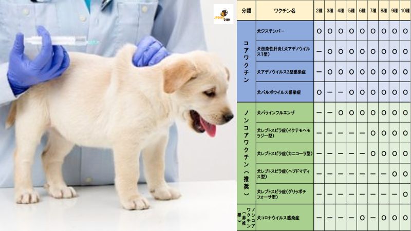 混合 ワクチン 犬