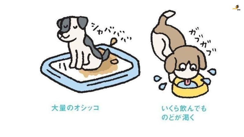 犬 の 糖尿病