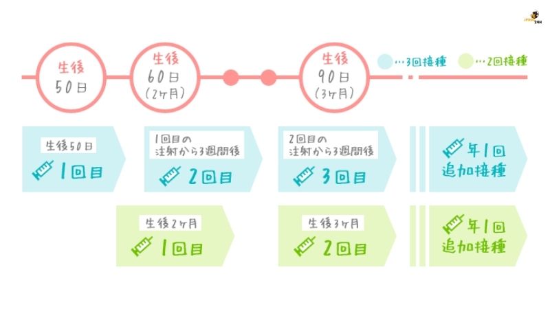 犬 ワクチン スケジュール